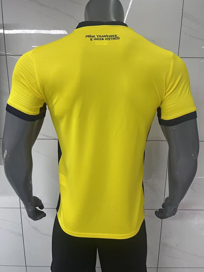 Ecuador Home World Cup 2026